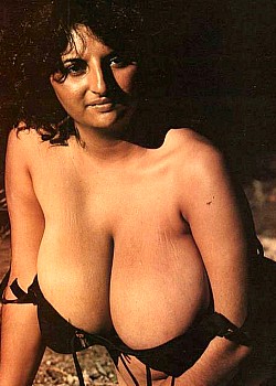 Nikki King
