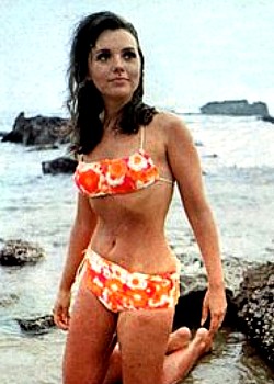 Dawn Wells